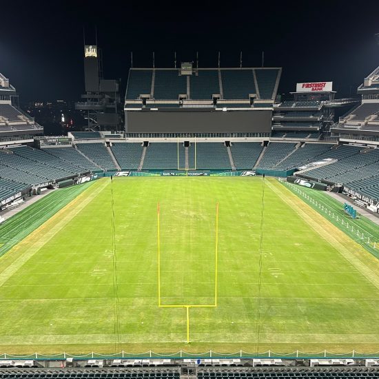 ملعب لينكولن المالي